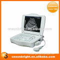 Laptop Veterinary Ultrasound for Swine Pregnancy Diagnosis